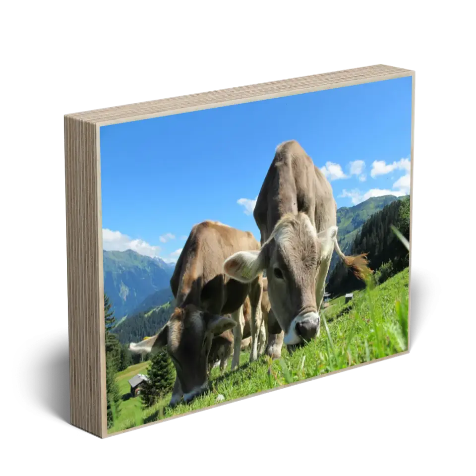 Holzbild "Muuuh"